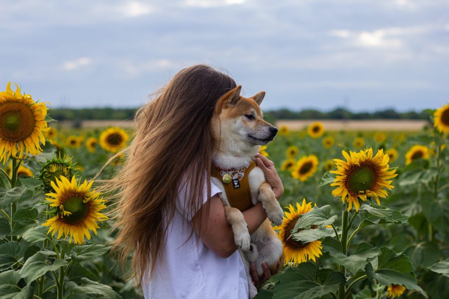 vacanze-cane-toscana