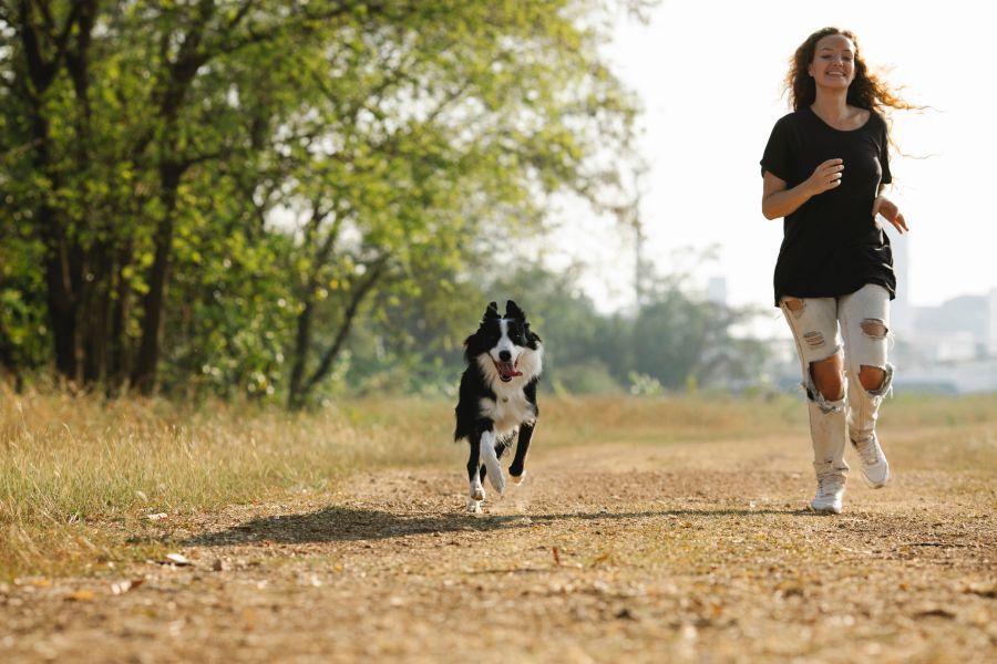 vacanze-cane-toscana